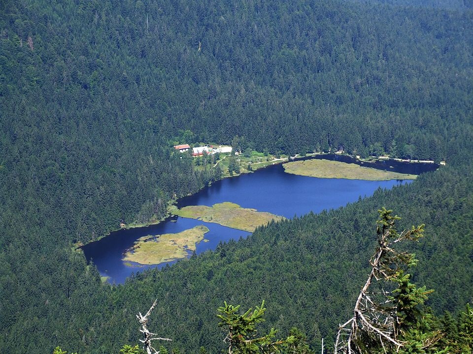 Kleiner Arbersee mit 3 schwimmenden Inseln - Kleiner Arbersee in der ErlebnisRegion Bayerischer Wald