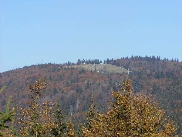 Blick vom Grandlberg aus auf den Almberg - Almberg in der ErlebnisRegion Bayerischer Wald