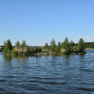 Kleine Insel im Drachensee - Drachensee in der ErlebnisRegion Bayerischer Wald