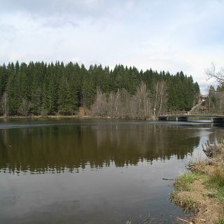 Regener See - Regener See in der ErlebnisRegion Bayerischer Wald