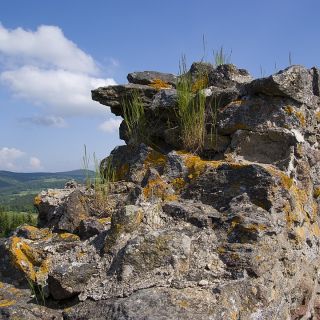 Mauerreste - Burgruine Neunußberg in der ErlebnisRegion Bayerischer Wald