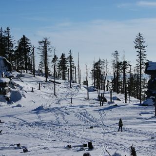 Winterimpressionen Gipfelregion Dreisesselberg - Dreisessel in der ErlebnisRegion Bayerischer Wald
