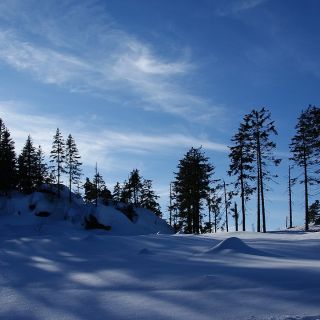 Winterimpression Gipfel Dreisessel - Dreisessel in der ErlebnisRegion Bayerischer Wald