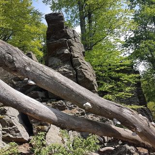 Granitfelsen und Buchen auf dem Hirschenstein - Hirschenstein in der ErlebnisRegion Bayerischer Wald