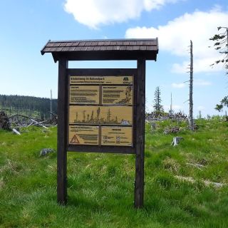 Infotafel auf dem Großen Falkenstein - Großer Falkenstein in der ErlebnisRegion Bayerischer Wald