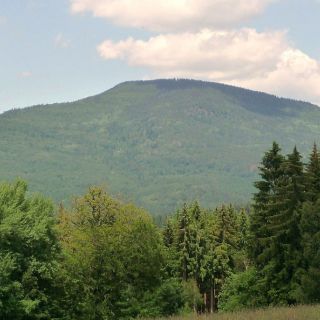 Blick auf den Großen Falkenstein von der Jungmaierhütte aus - Großer Falkenstein in der ErlebnisRegion Bayerischer Wald