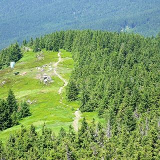 Wiese auf dem Großen Osser - Beliebter Startplatz für Gleitschirmflieger - Großer Osser in der ErlebnisRegion Bayerischer Wald