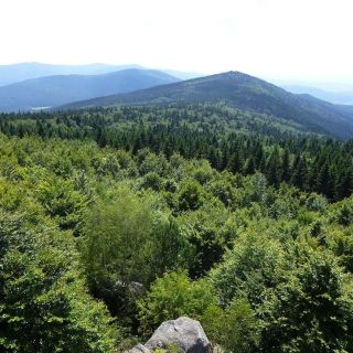Blick auf den Rauhen Kulm vom Hirschenstein Gipfel aus - Rauher Kulm in der ErlebnisRegion Bayerischer Wald