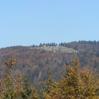 Blick vom Grandlberg aus auf den Almberg - Almberg in der ErlebnisRegion Bayerischer Wald