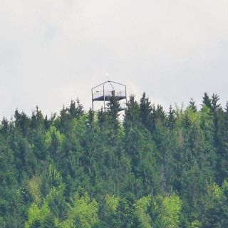 Aussichtsturm Friedrichsberg - Aussichtsturm Friedrichsberg in der ErlebnisRegion Bayerischer Wald