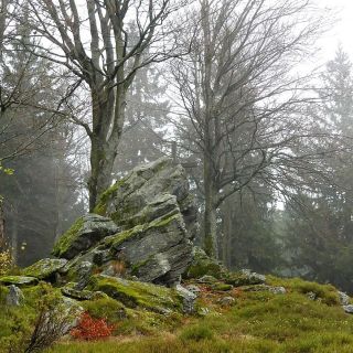 Gipfelfelsen am Predigtstuhl - Predigtstuhl in der ErlebnisRegion Bayerischer Wald