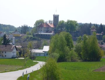 Burgen / Schlösser - Burg Falkenfels